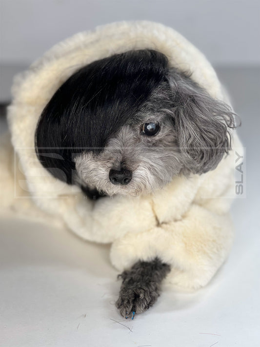 Tania Unit(Dog wigs)